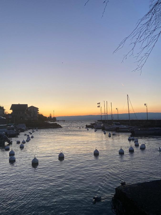 Bord De Lac,2 Chambres Superbe Vue Lac 5Mn Evian لوجْرا المظهر الخارجي الصورة