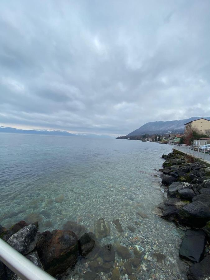 Bord De Lac,2 Chambres Superbe Vue Lac 5Mn Evian لوجْرا المظهر الخارجي الصورة