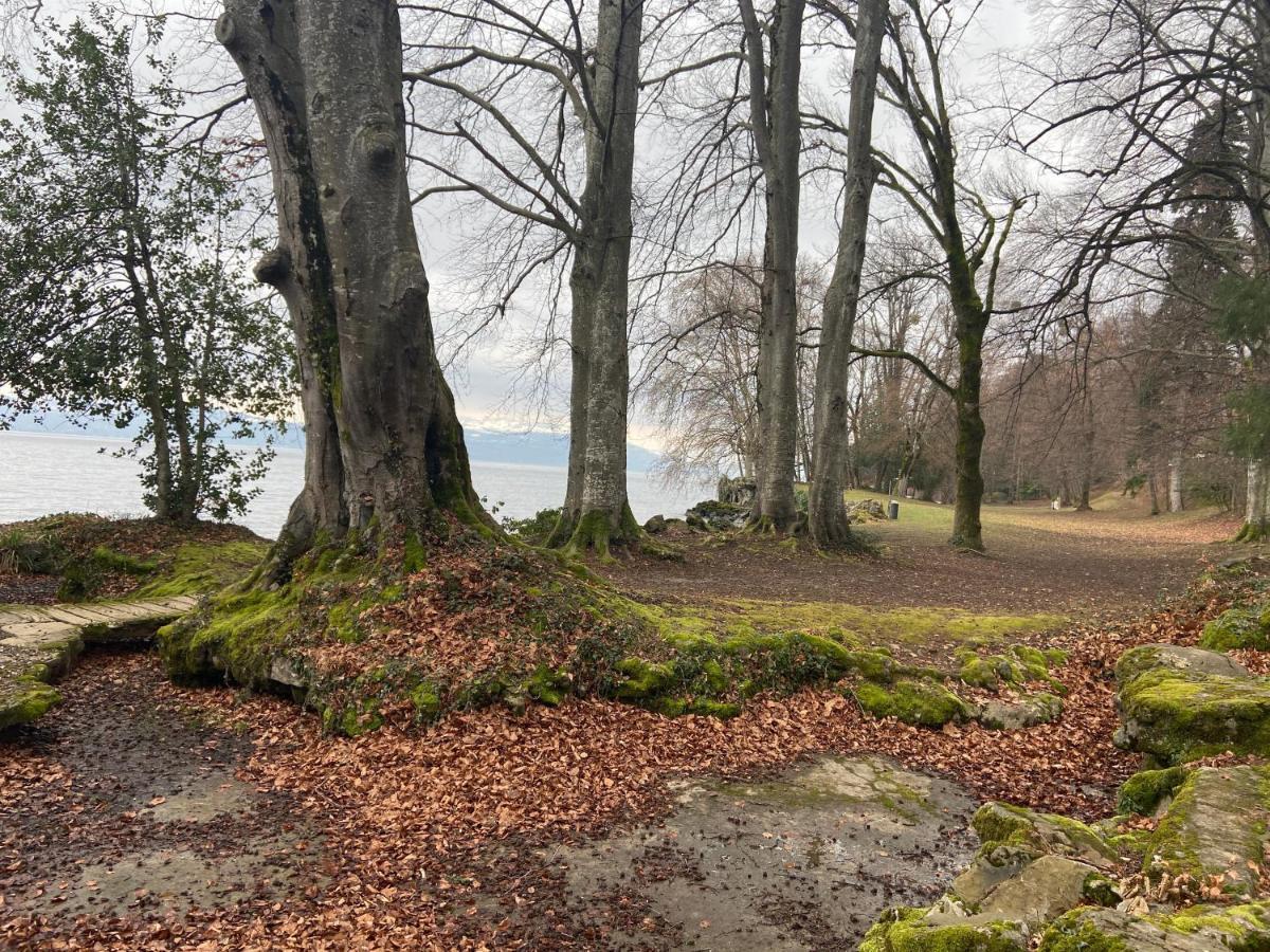 Bord De Lac,2 Chambres Superbe Vue Lac 5Mn Evian لوجْرا المظهر الخارجي الصورة
